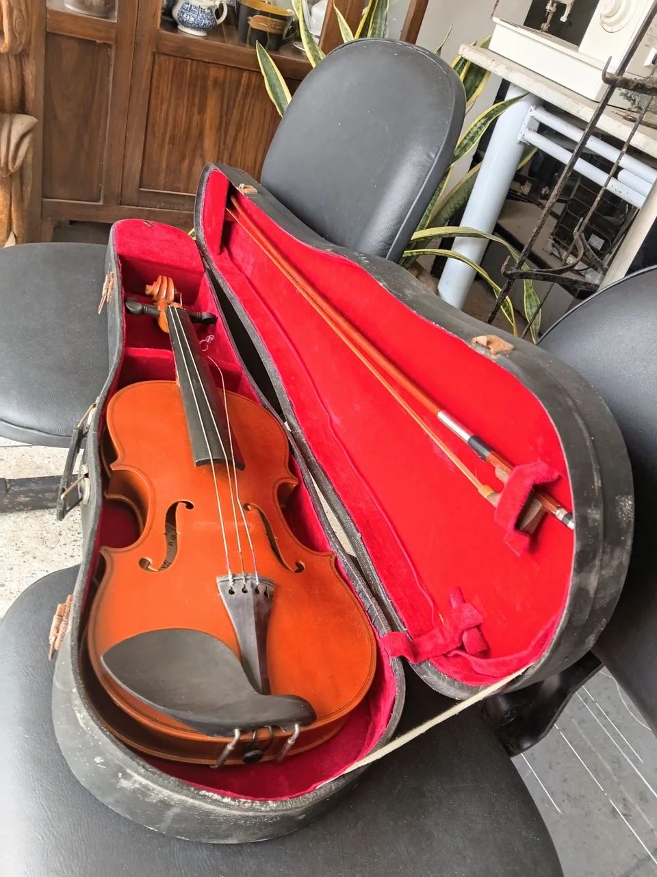 Violino