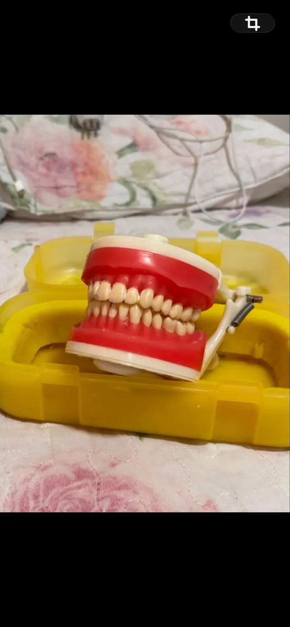 MANEQUIM DE DENTÍSTICA