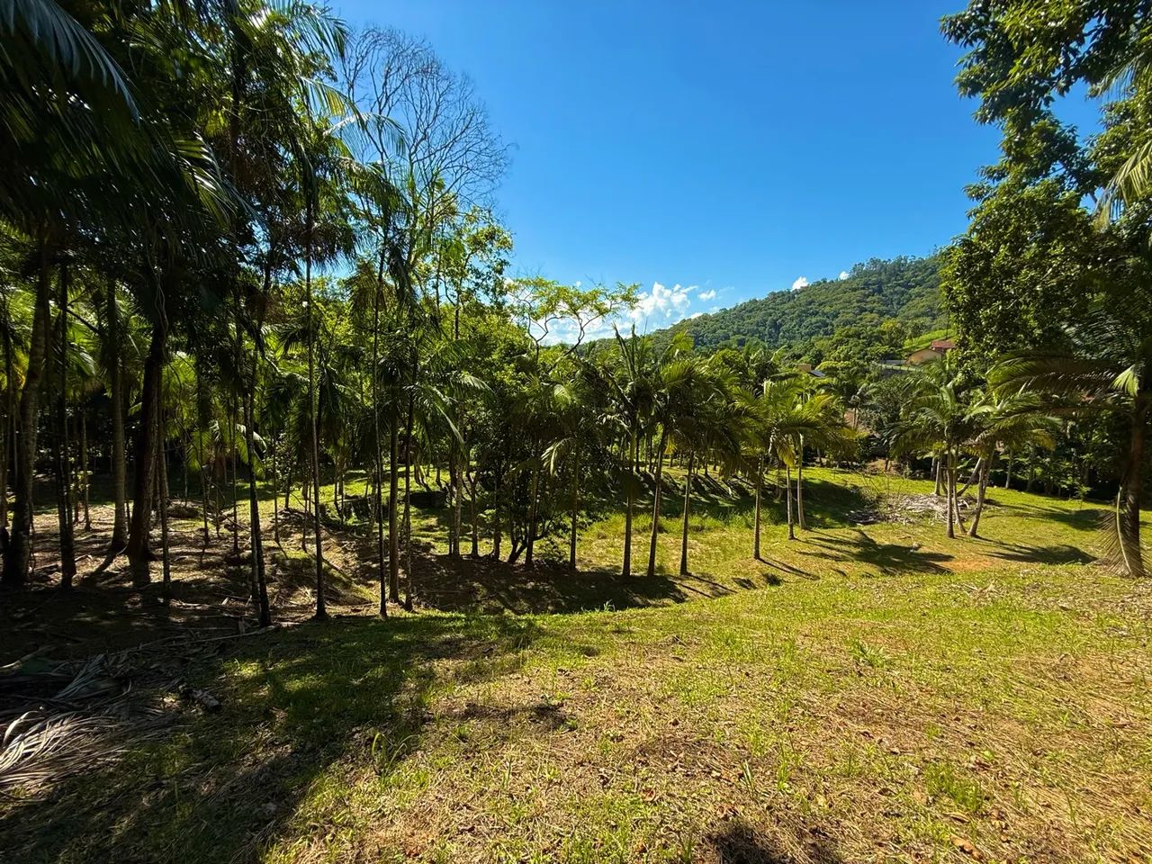 6.426m2 no Centro de Pomerode - Foto 3