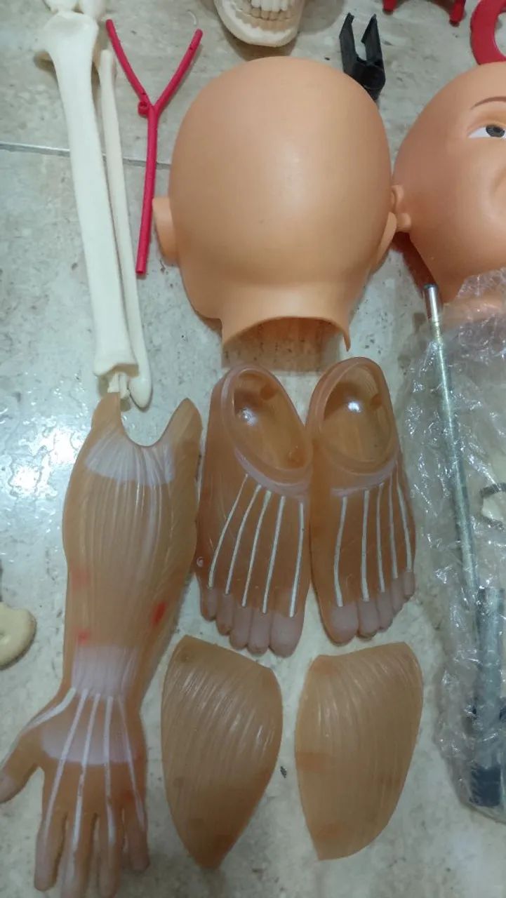 Coleção Corpo Humano SALVAT  - Foto 4
