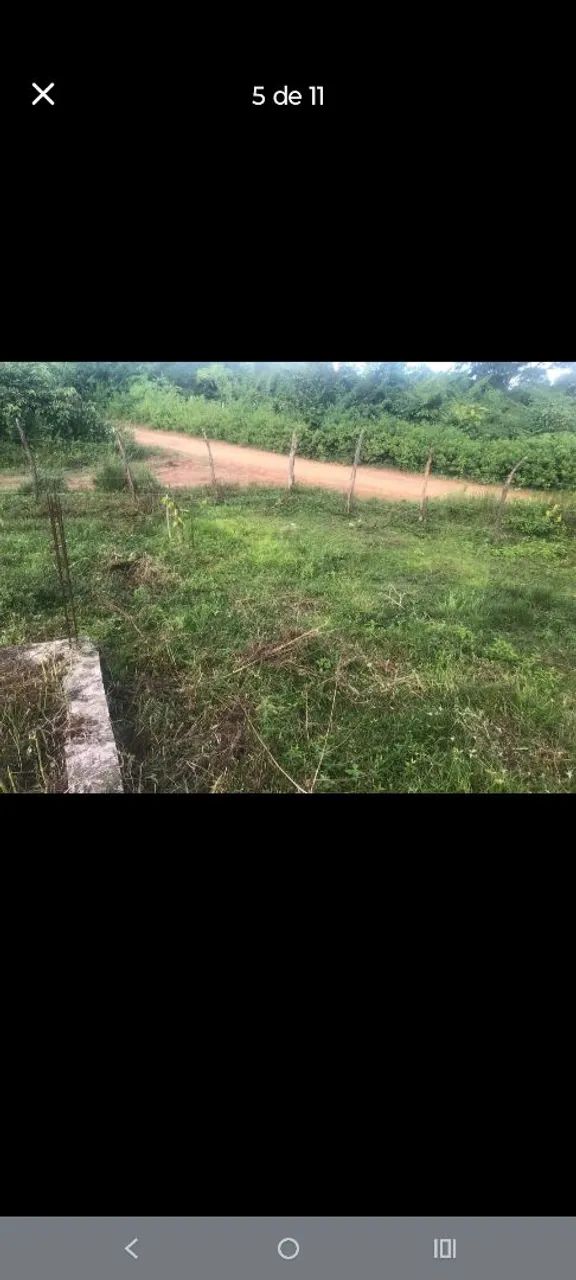 Vendo esse terreno  - Foto 2