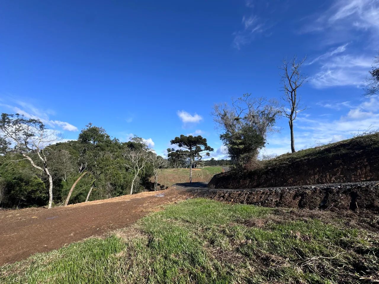 Oportunidade Única! Sítio 2 Hectares, 2km do centro. - Foto 4