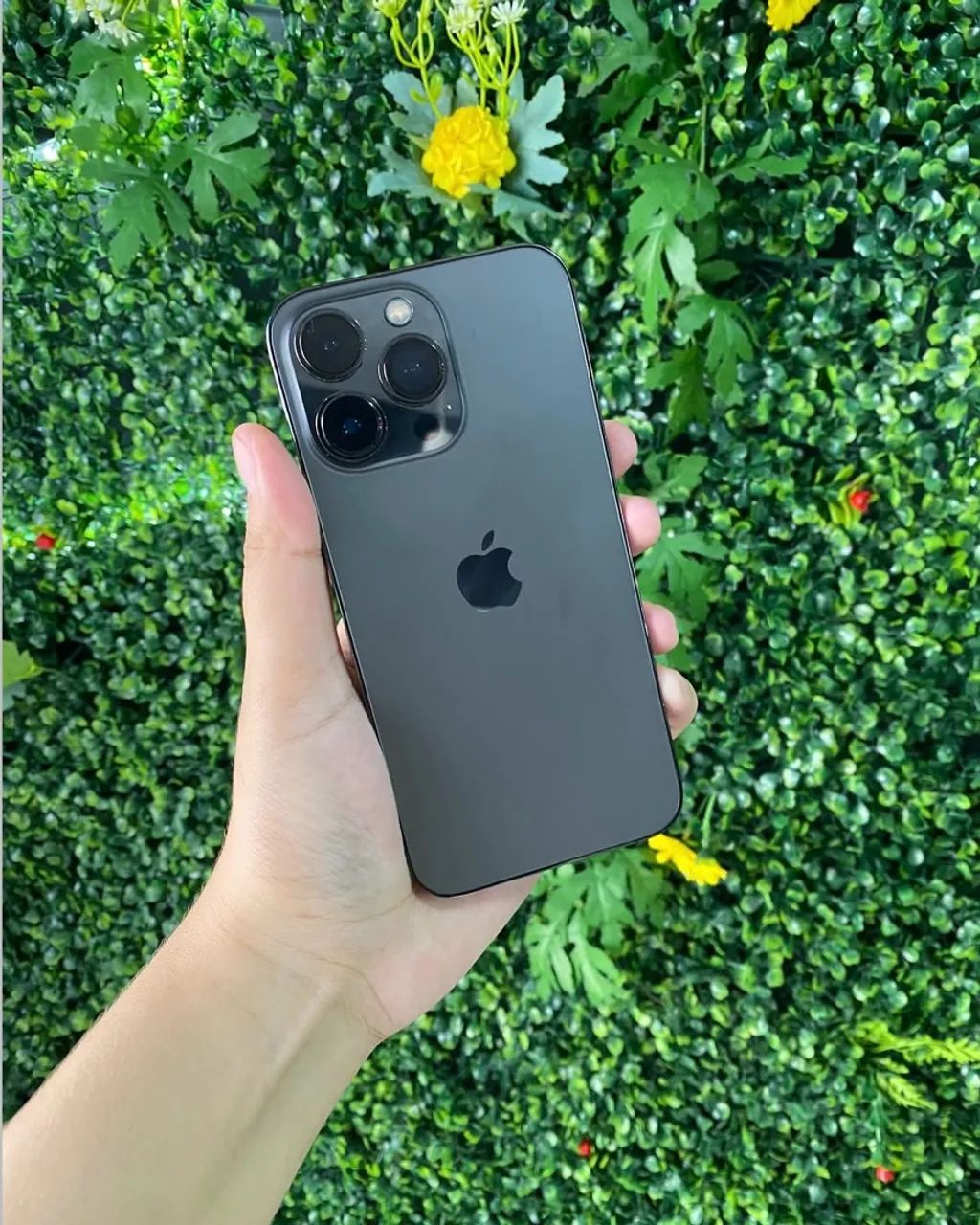 iPhone 13 Pro 74% 256GB