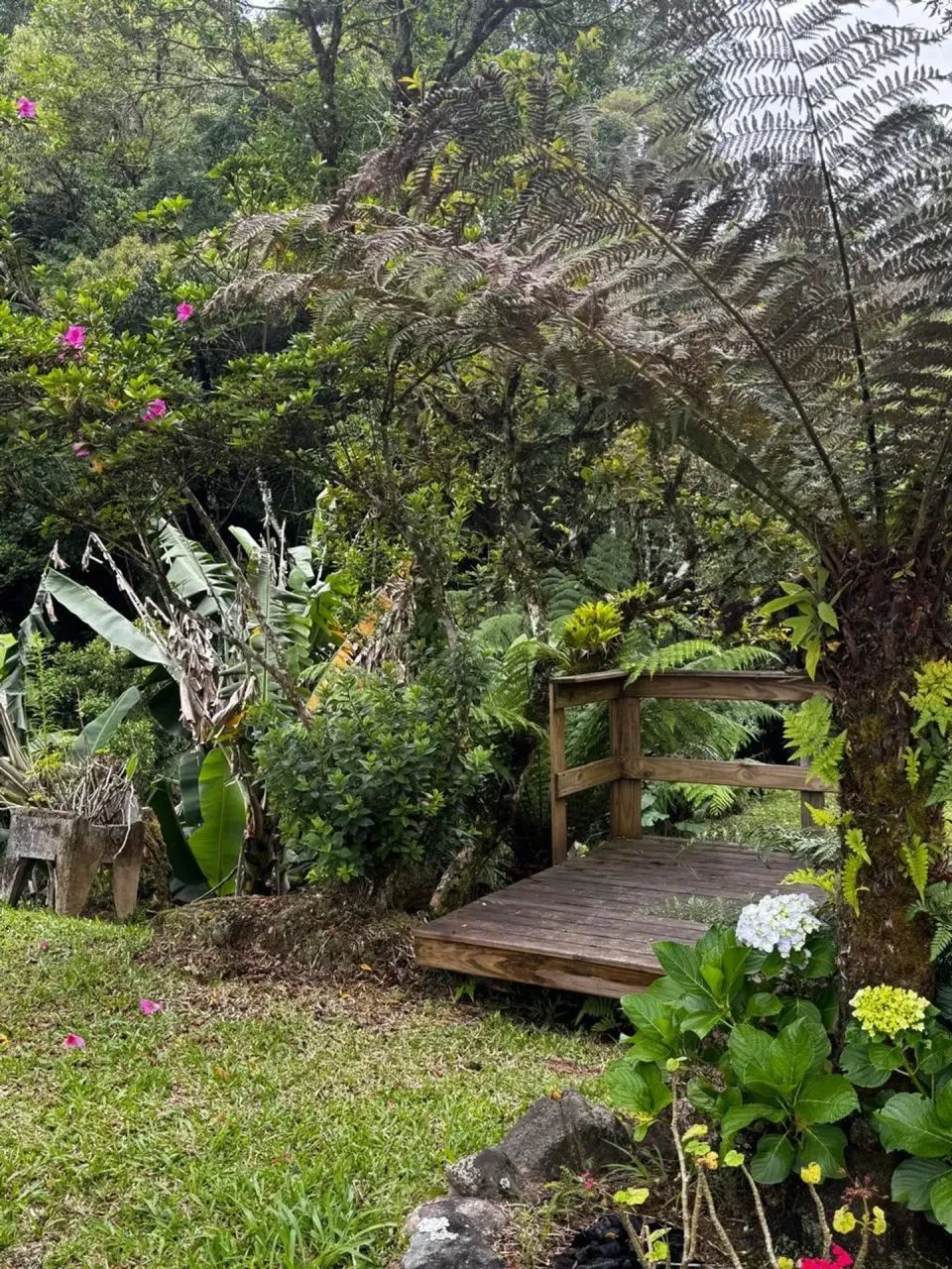 Chacara com casa em Anitápolis - SC - Foto 4