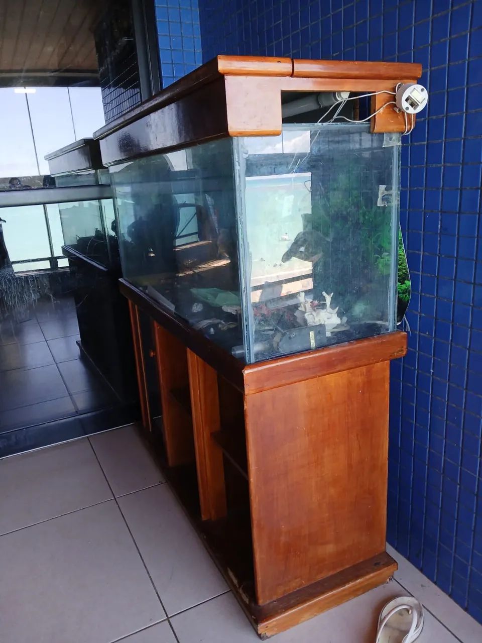Aquario  - Foto 2