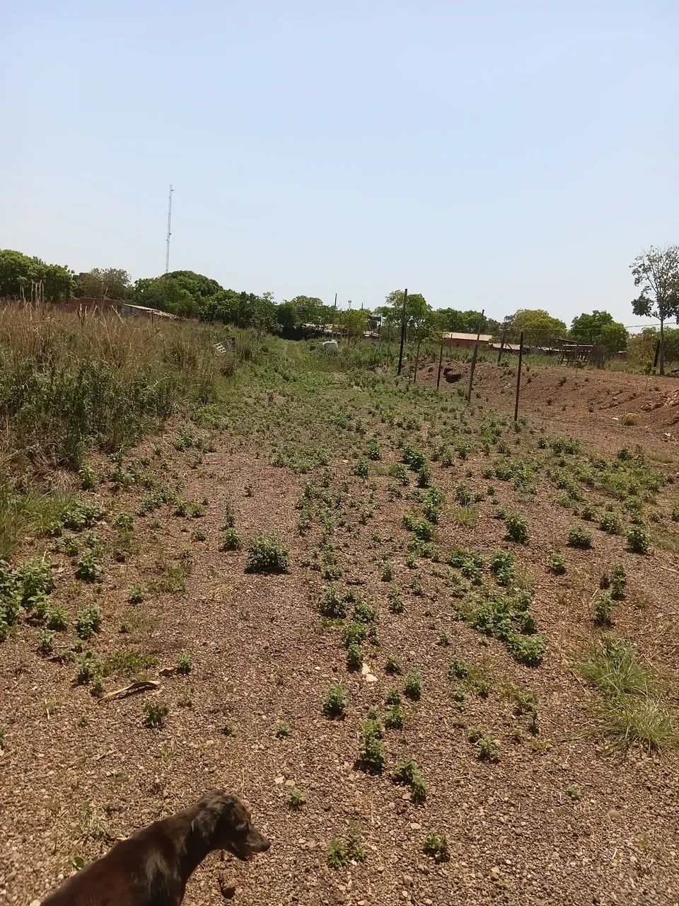 Lote São Mateus 