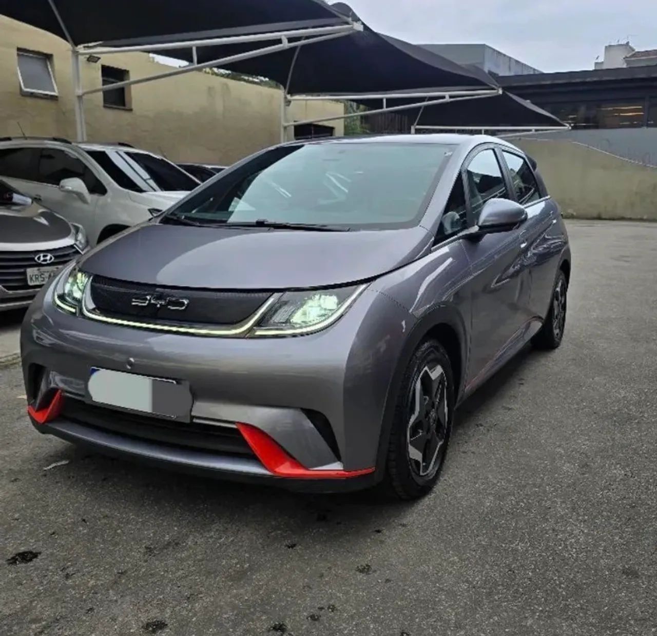 BYD Dolphin EV (Elétrico) 2024 - Foto 2