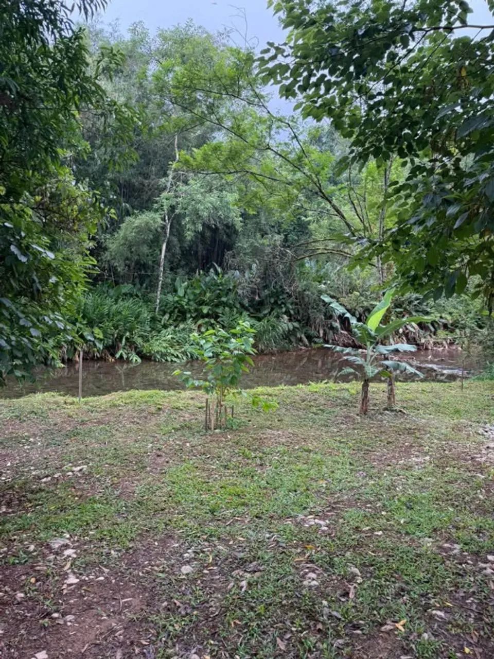 Sitio com Rio no fundos todo cercado e gramado. - Foto 3