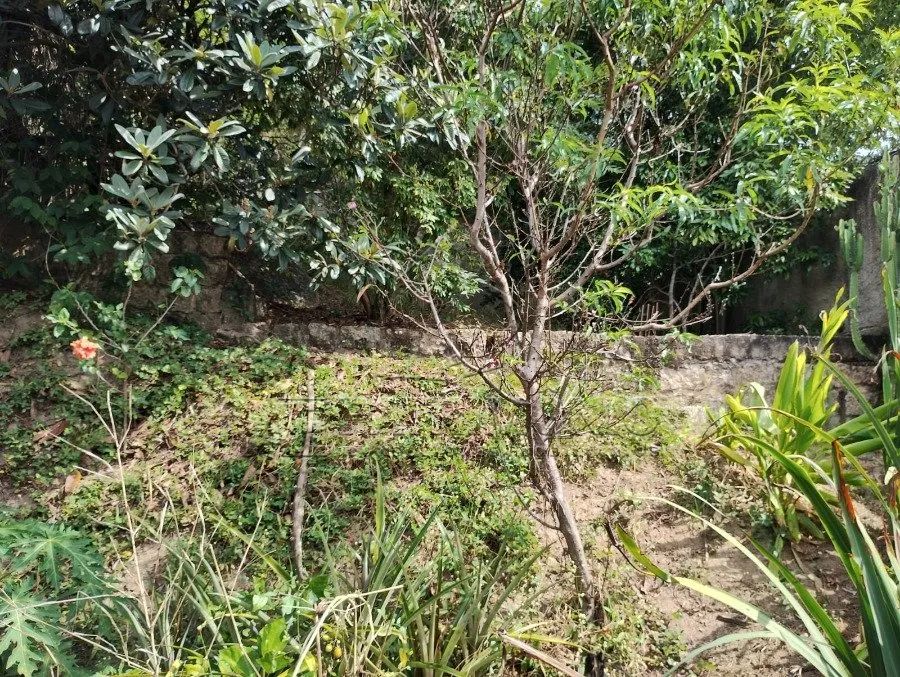 TERRENO CAPUTERA - Foto 4