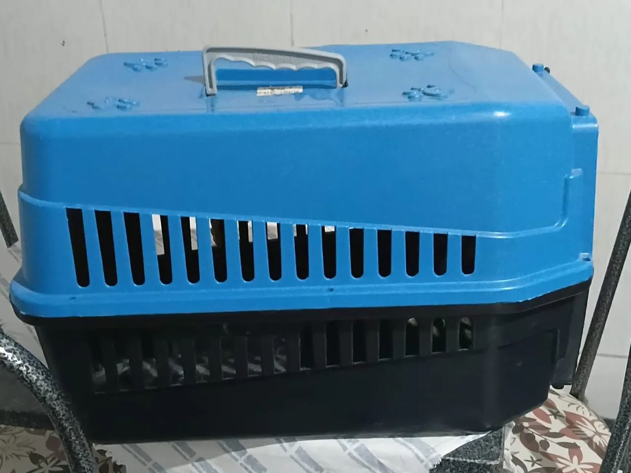 Caixa para trasporte de animais 