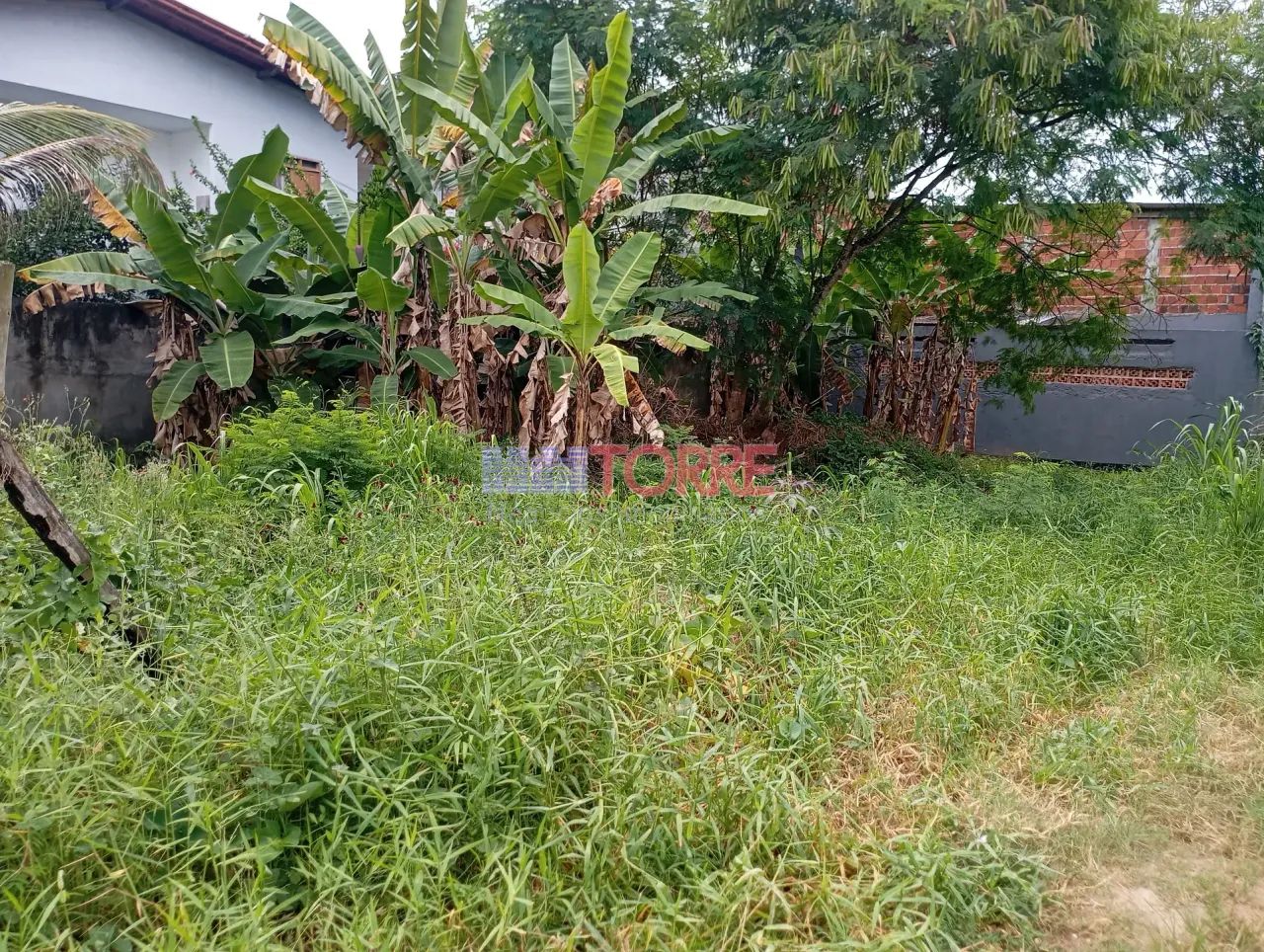 Lote à Venda, Olivença, Ilhéus, BA - Foto 3