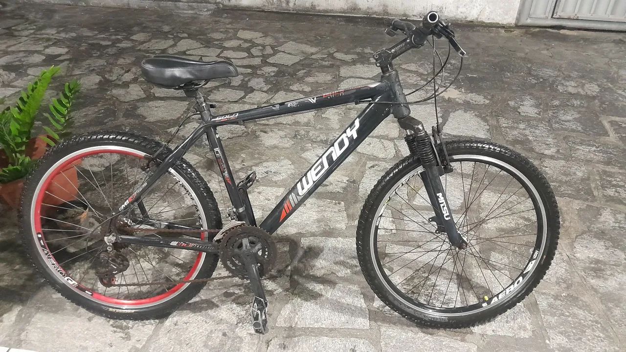 Bicicleta 