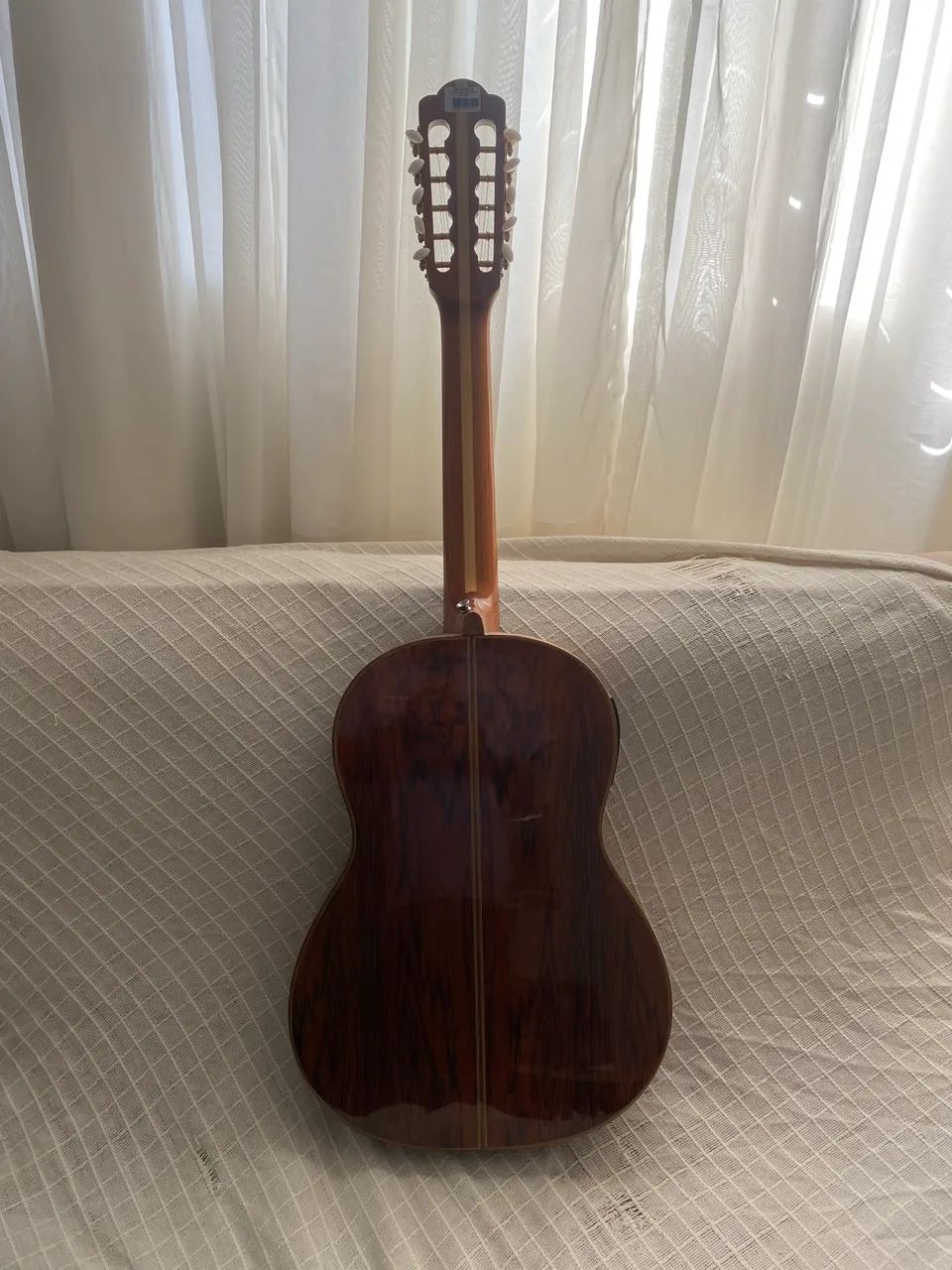 Viola  - Foto 2