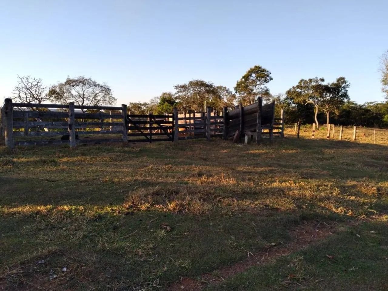 Vende-se Sítio em Campo Verde Mato Grosso - Foto 4