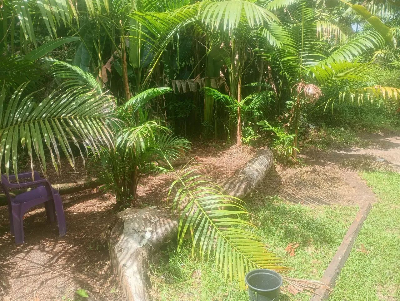 Terreno com Casa no Pará -Acara - Foto 3