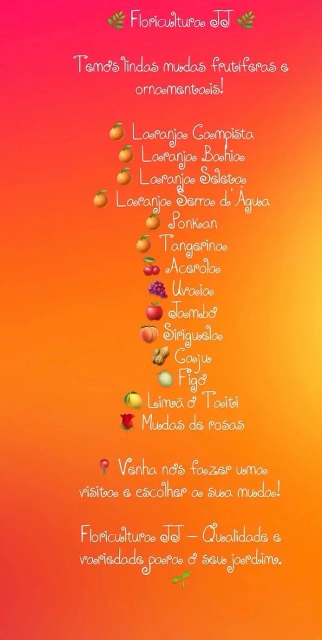 Mudas frutas e flores  - Foto 4