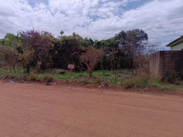 Lote 312m² no Jardim Candidés - Foto 4