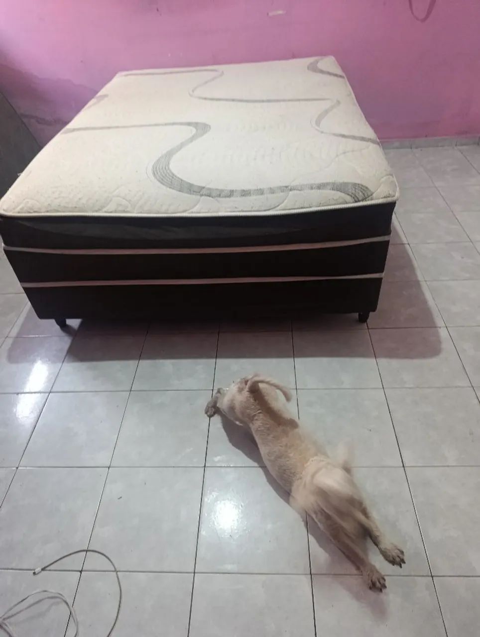 Cama box com com molas ensacadas muito nova impecável só pegar e usar! - Foto 2