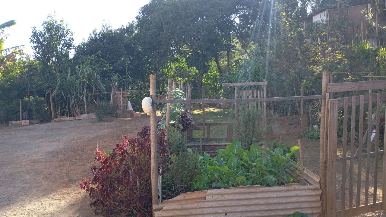 Lote - Foto 2