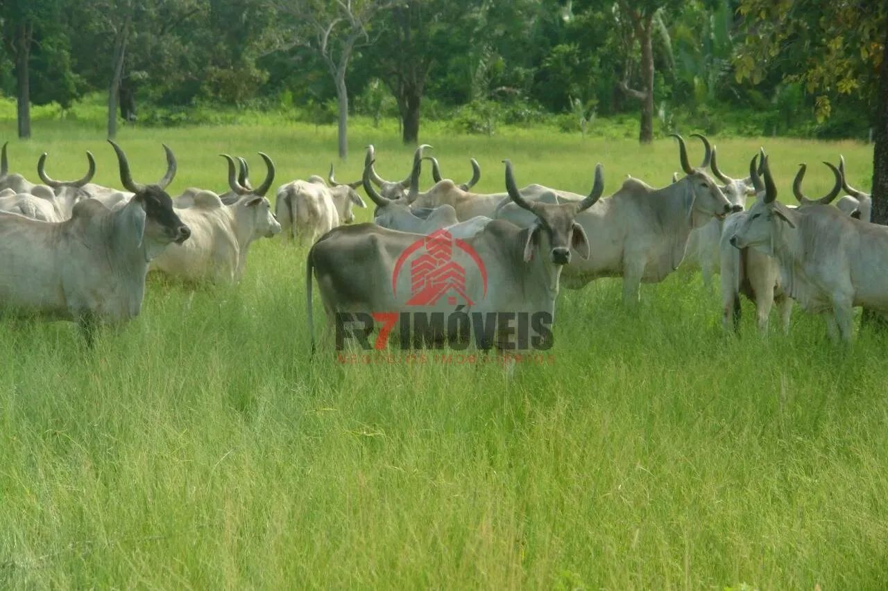FAZENDA EM JUSSARA  GO - Foto 2