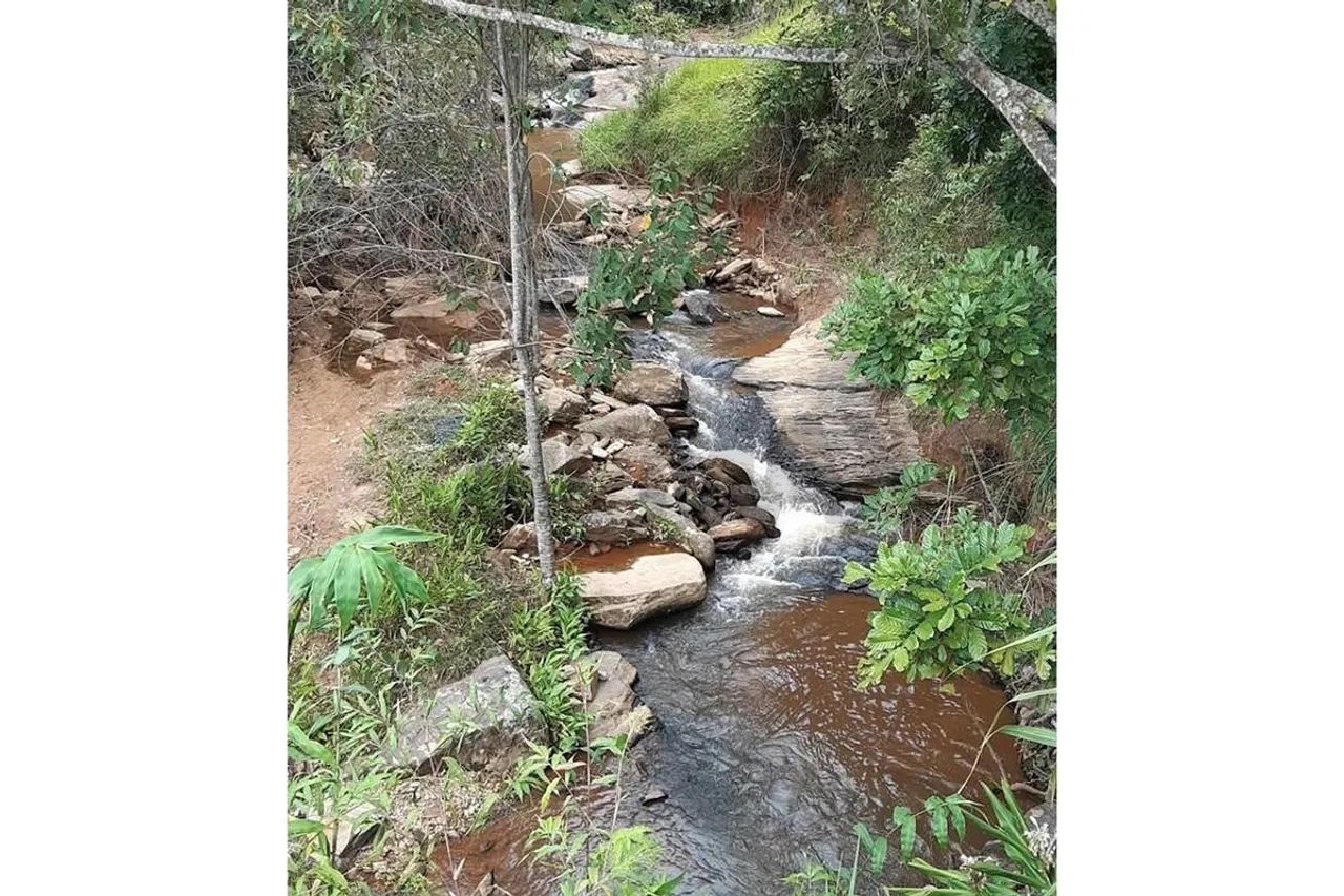 Terreno 20.000m2 a poucos minutos de Juiz de Fora - Foto 7