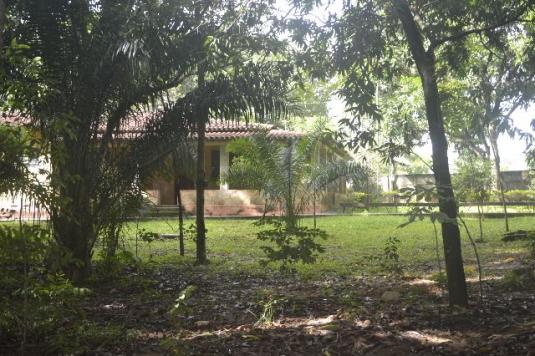 Chácara de 9.237 m² - Vila Morais - Próximo do Jd. Novo Mundo - Foto 11