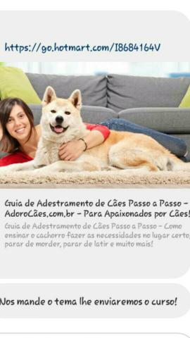 Adestramento de cachorros