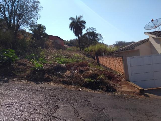 Lote Jardim Centro
