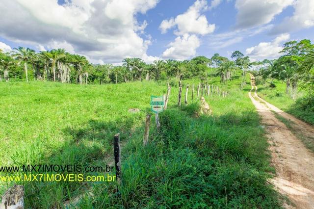 Fazenda com o melhor custo beneficio de 400 Hectares. 3 Rios - Foto 2