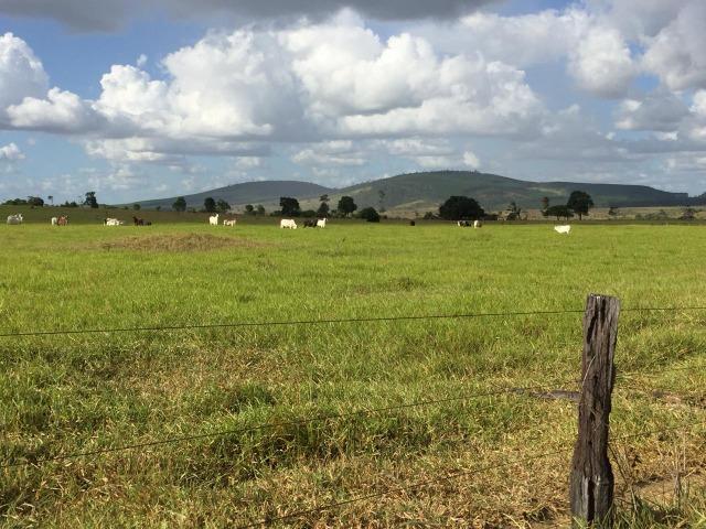 Fazenda em Itagimirim Sul da Bahia - Foto 12