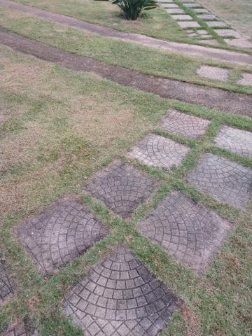 Sítio 8 hectares fim de linha em Paraju Domingos Martins - Foto 14