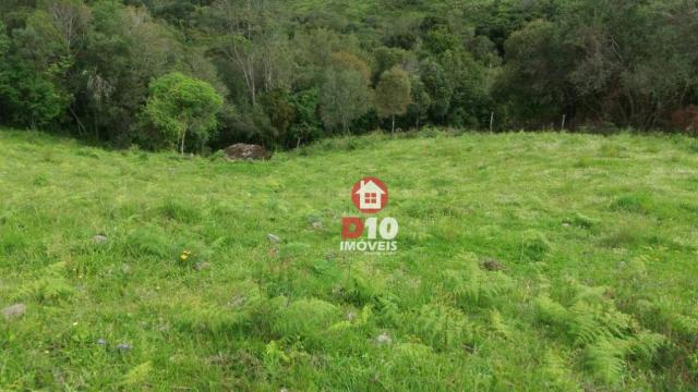 Chácara a venda, próximo ao monumento dos bertussi - r$ 85.000,00 - Foto 7