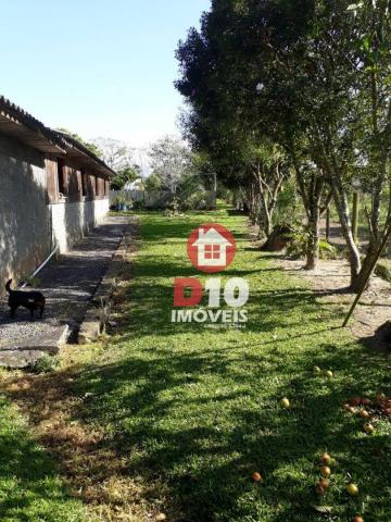 Chácara com 4 dormitórios à venda, 36000 m² por R$ 500.000 - Vila Santa Catarina - São Joã - Foto 13