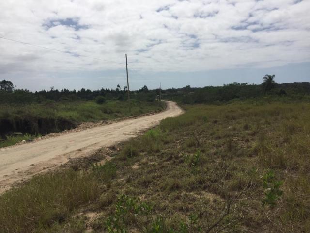 Terreno à venda em Porto grande, Araquari cod:V02928 - Foto 5