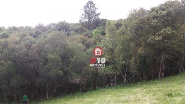Chácara a venda, próximo ao monumento dos bertussi - r$ 85.000,00 - Foto 10