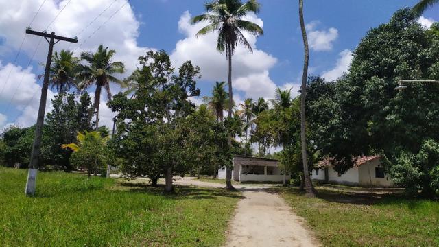 Vende-se excelente sitio em Igarassu, bem localizado - Foto 3