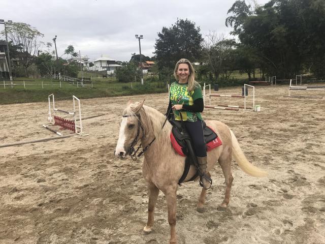 Cavalo Marchador - Marcha picada com velocidade de aproximadamente 40 Km/h - Foto 5