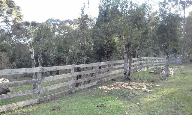 Fazenda - Foto 6