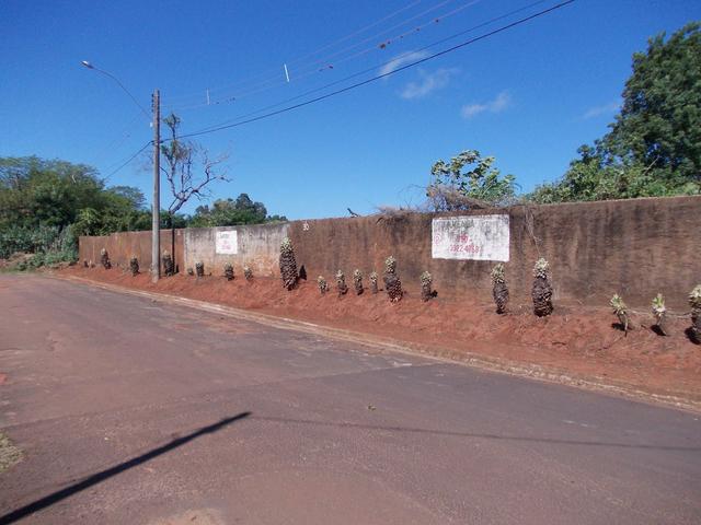 Vendo 2 terreno de 10x25 cada Jd Amauri Assis SP