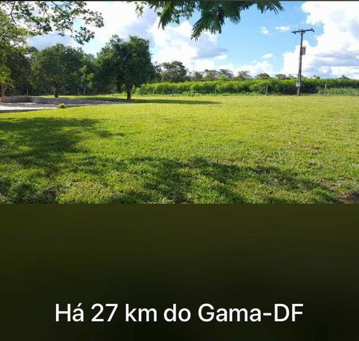 Fazenda Estrada Ponte Alta-GO- 60 Hectares - Foto 11
