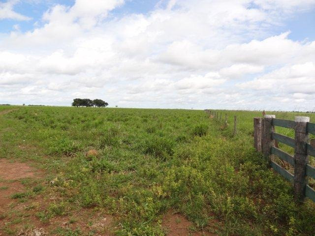 Fazenda em Araguaçu - TO - 73.954 hectares - Foto 2