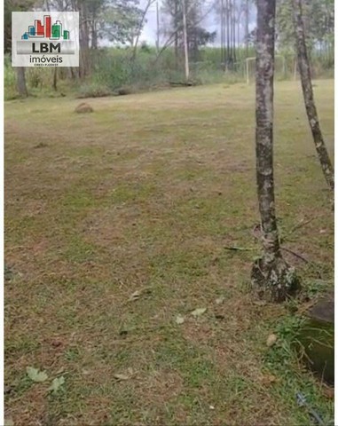 SITIO - PEDREIRA - 60500M² - Foto 5