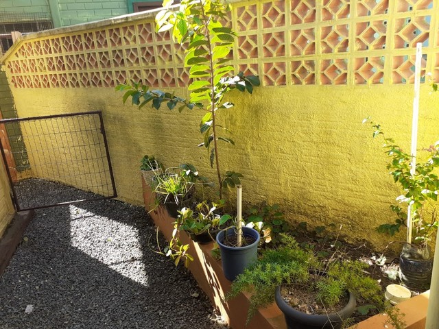 Tranquilidade na Praia da Enseada - Foto 7