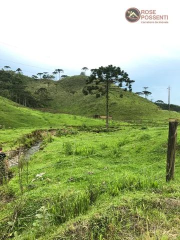 Terreno rural com 73 hectares - Foto 3
