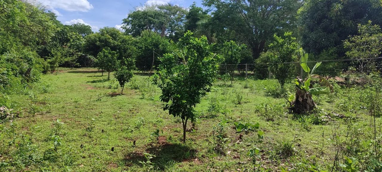 Chácara no Rio dos bois em Cezarina  - Foto 4