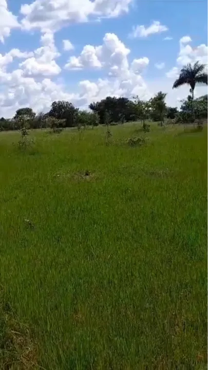 Vendo chácara 25alqueires, região de nova Olinda