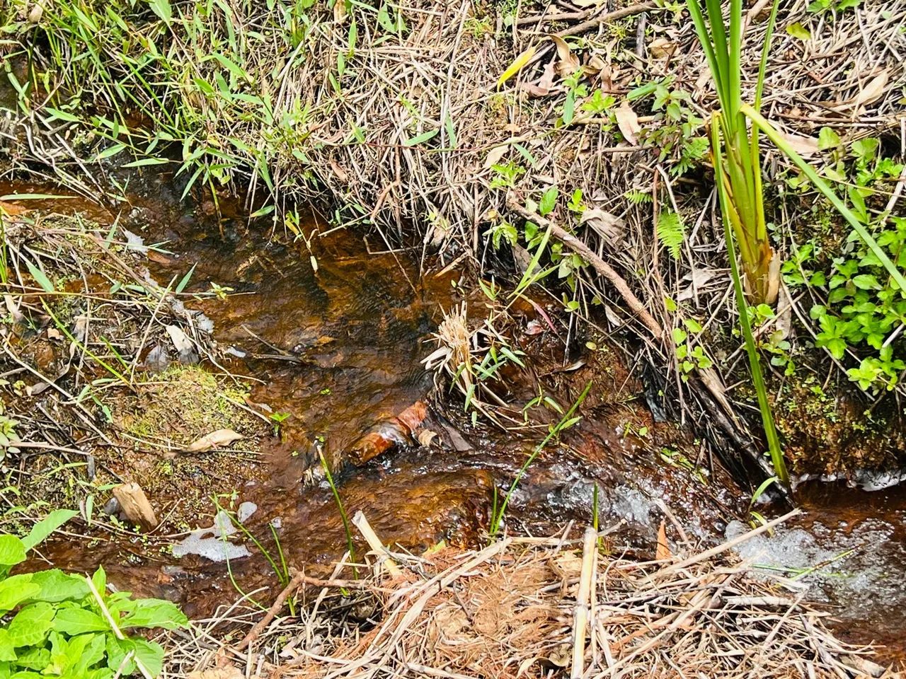 Linda Chácara com lago em Santa Teresa a 5 km do centro  - Foto 13