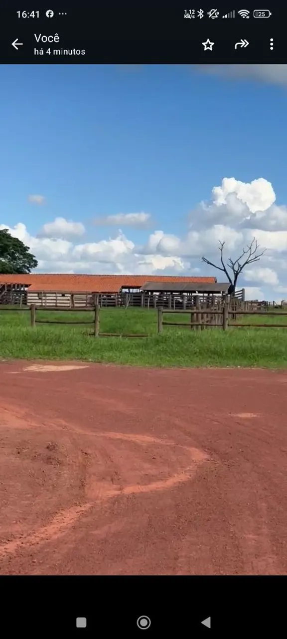 Fazenda de arrendamento 1.650hec em primavera do leste MT.