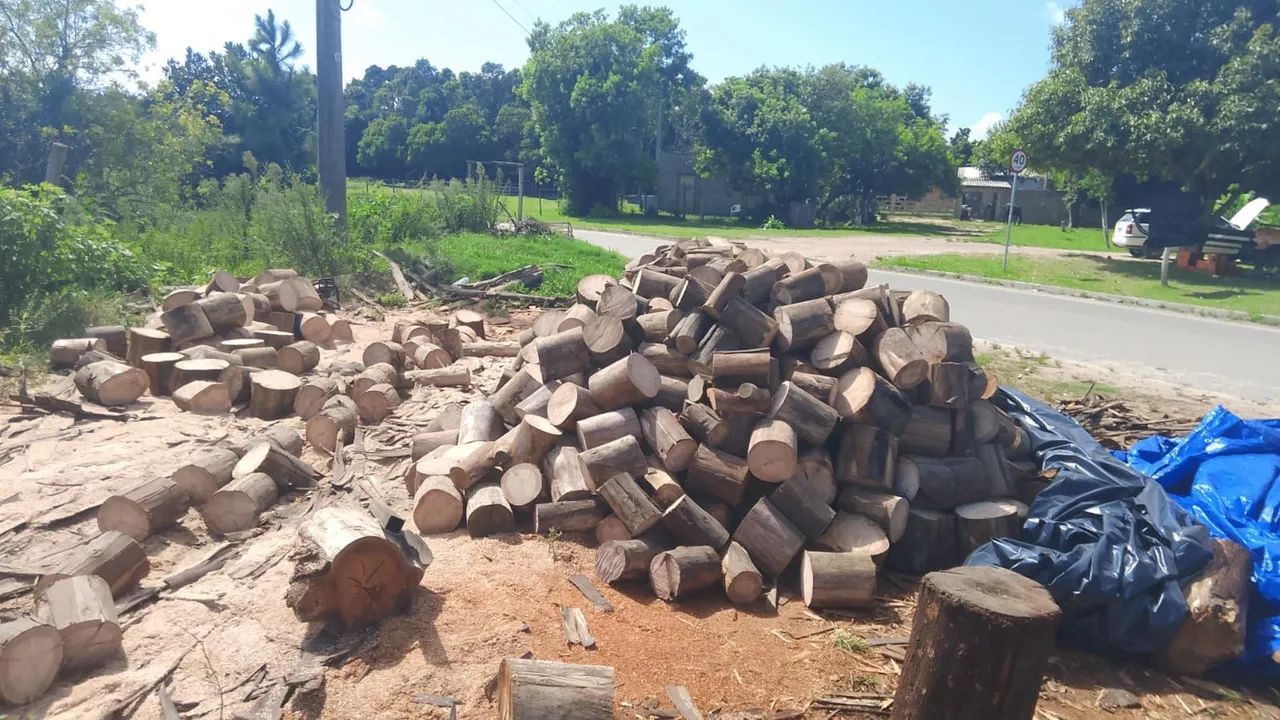 Lenha Acácia e Eucalipto  - Foto 4