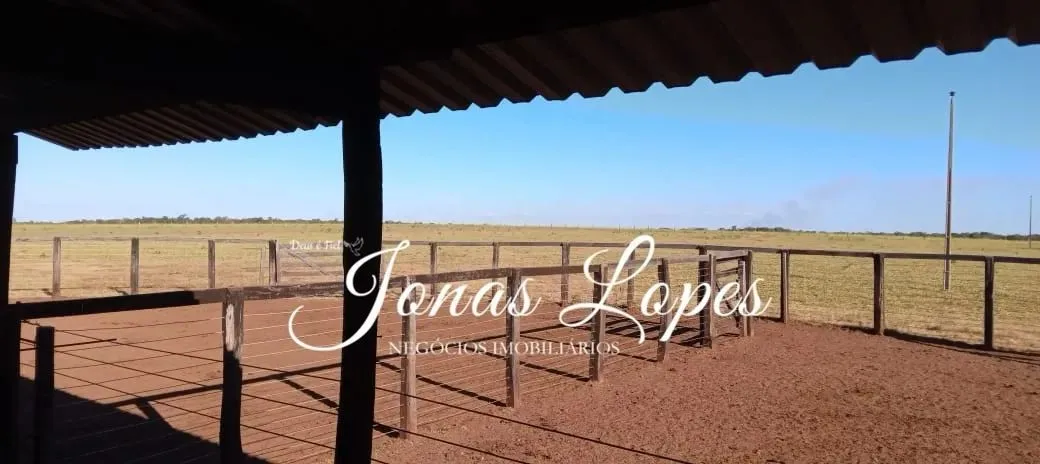Fazenda 554 Hectares Pedro Afonso Tocantins - Permuta Fazenda Paraná